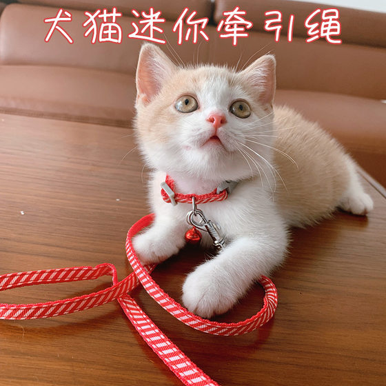 Dog kitten puppies traction rope rope bell bell, traction rope small toy tea cup dog mini walking dog cat rope
Dog kitten puppies traction rope rope bell bell, traction rope small toy tea cup dog mini walking dog cat rope
