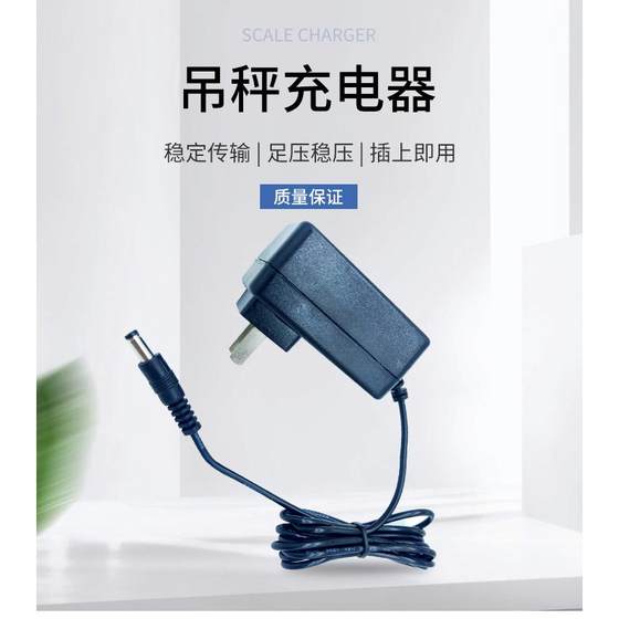 Hangzhou Sifang Baiying Wantou 수천 타이 블루 화살표 크레인 스케일 충전기 크레인 배터리 충전기 7.5V 전원 공급 장치 어댑터 Hangzhou Sifang Baiying Wantou 수천 타이 블루 화살표 크레인 스케일 충전기 크레인 배터리 충전기 7.5V 전원 공급 장치 어댑터