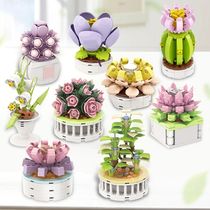Block City DIY Potted Plants Succulents Cactus Gypsophila Bo