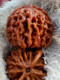 Wenwan Walnut Qin 남자 사자 헤드 핀 페어링 프리미엄 와일드 핸드 플레이 Wenwan 틈새 생일 선물 남자 Wenwan Walnut Qin 남자 사자 헤드 핀 페어링 프리미엄 와일드 핸드 플레이 Wenwan 틈새 생일 선물 남자