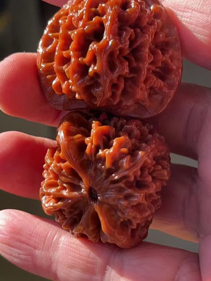 Wenwan Walnut Qin 남자 사자 헤드 핀 페어링 프리미엄 와일드 핸드 플레이 Wenwan 틈새 생일 선물 남자 Wenwan Walnut Qin 남자 사자 헤드 핀 페어링 프리미엄 와일드 핸드 플레이 Wenwan 틈새 생일 선물 남자