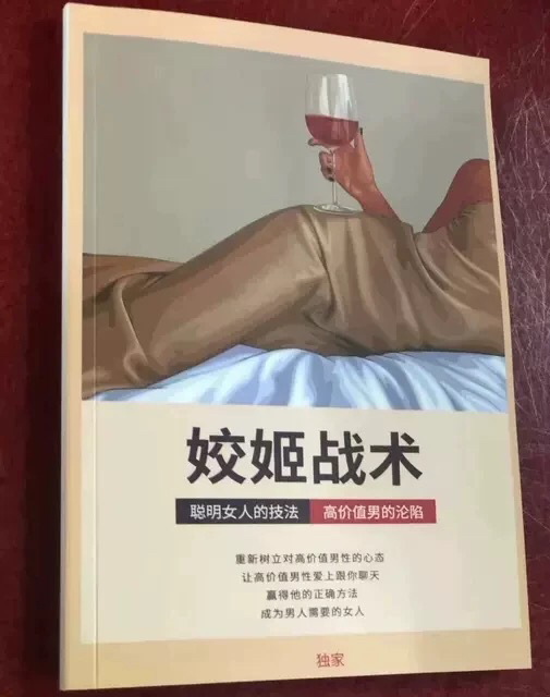姣姬战术界限感一本写给女人的秘籍，聪明女人技法，高价值男的沦陷，电子书资料分享下载！