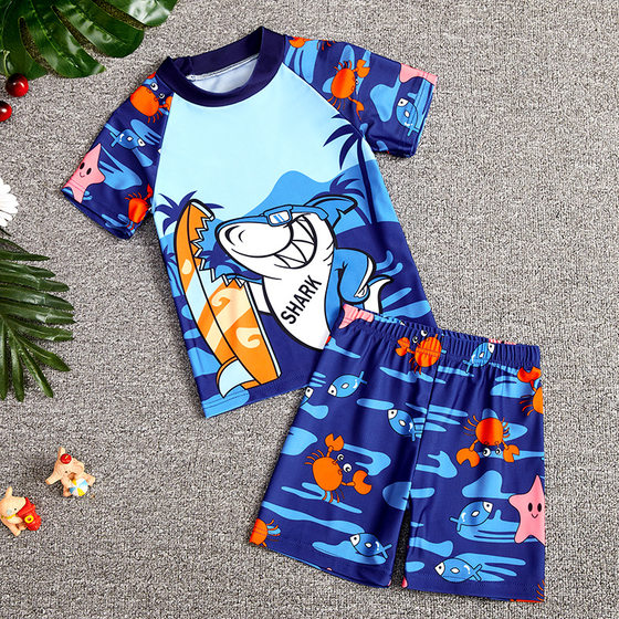 Boy swimsuit summer short-sleeved cartoon 2025 boy split suit shark swimming cap children's swimming trousers
Boy swimsuit summer short-sleeved cartoon 2025 boy split suit shark swimming cap children's swimming trousers