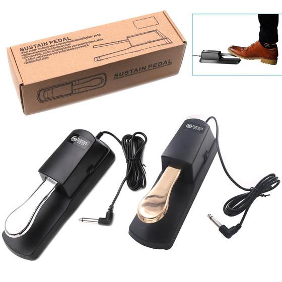 Piano sustain pedal Electronic piano electric piano synthesizer sustain pedal universal sustain pedal instrument accessories
Piano sustain pedal Electronic piano electric piano synthesizer sustain pedal universal sustain pedal instrument accessories