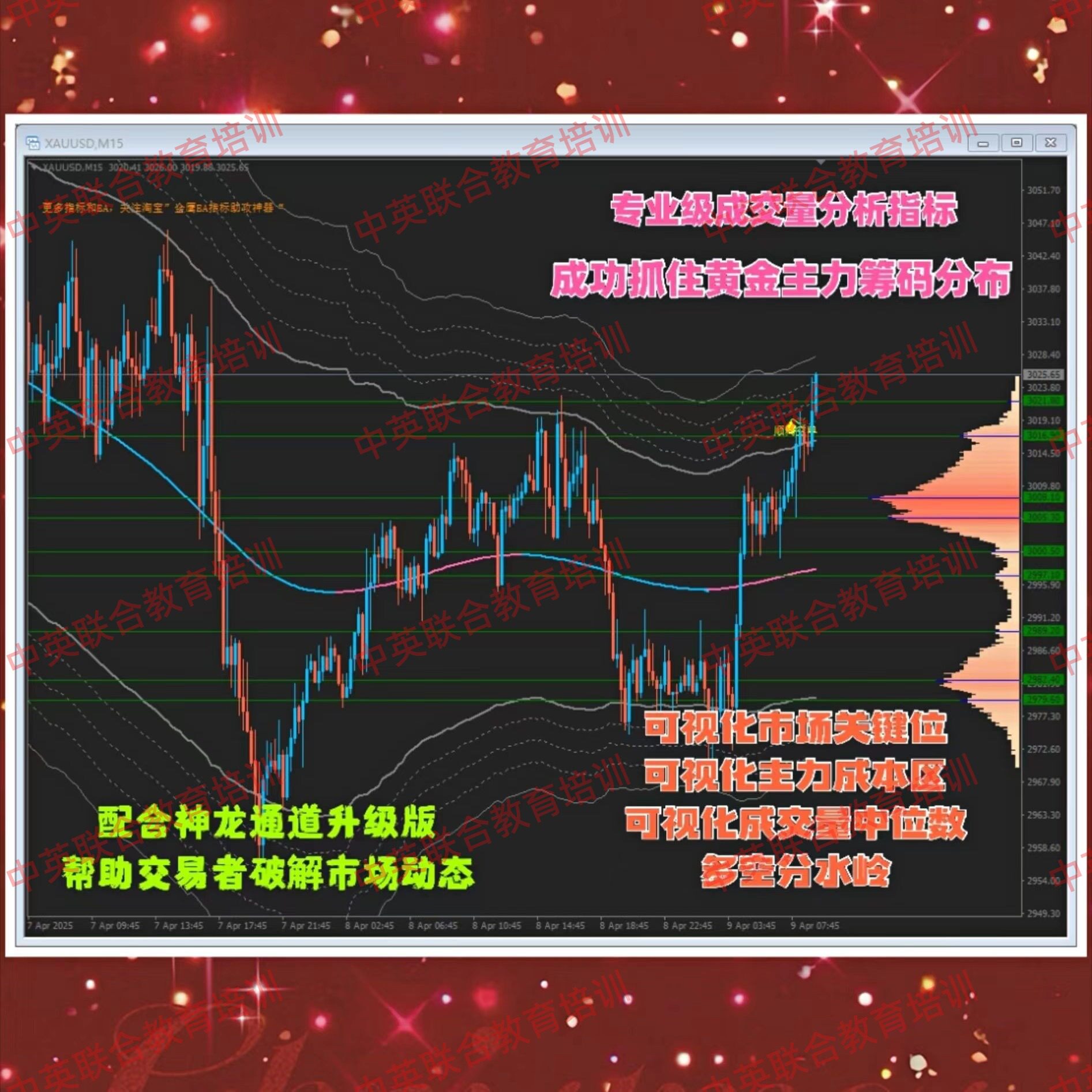 黄金外汇MT4指标可视化成交量分析VWAP捕捉主力筹码分布EA策略