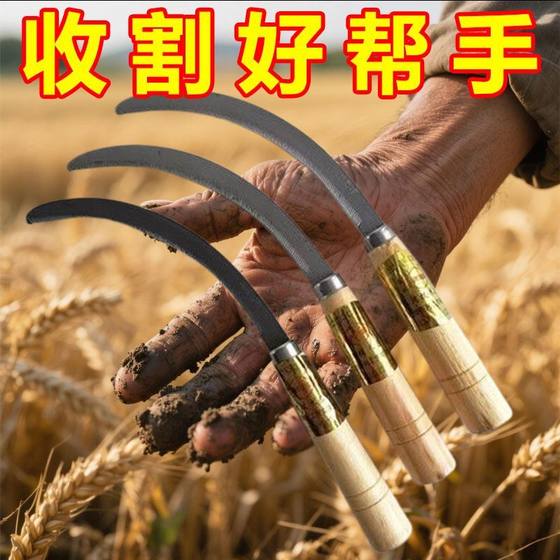 톱니가있는 잔디 가위 잔디 잔류 미세한 가득한 풀 강철 나무 손잡이 밀가프 씹는 밀 밀 수확 나이프 스테인리스 스틸 톱 톱니가있는 잔디 가위 잔디 잔류 미세한 가득한 풀 강철 나무 손잡이 밀가프 씹는 밀 밀 수확 나이프 스테인리스 스틸 톱