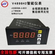 Weighing instrument supporting controller sensor V4896H2 Intelligent Display Control Instrument 2 sets of alarm output