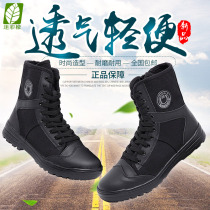 Summer breathable mesh combat boots black canvas side zipper training boots training boots wear-resistant security shoes mountaineering