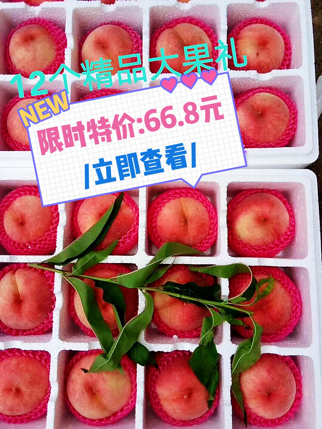 燕红 12个桃礼盒装新鲜汇水红桃水果阳山甜艳红丹东河口水蜜桃桃