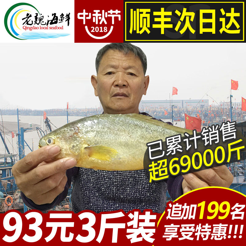 黄花鱼 新鲜海鲜海鱼当天冷冻水产深海鱼鲜活大黄鱼3斤整箱包邮