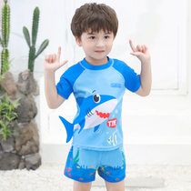 Childrens Swimsuit Boys Swimsuit in Summer Breakup Short Sleeve Swimsuit Dry Spring Swimming Set Equipment