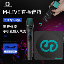 Senran Net red outdoor live broadcast equipment full set of audio built-in sound card square dance home K song with wireless microphone Bluetooth outdoor portable mobile volume Speaker Microphone set