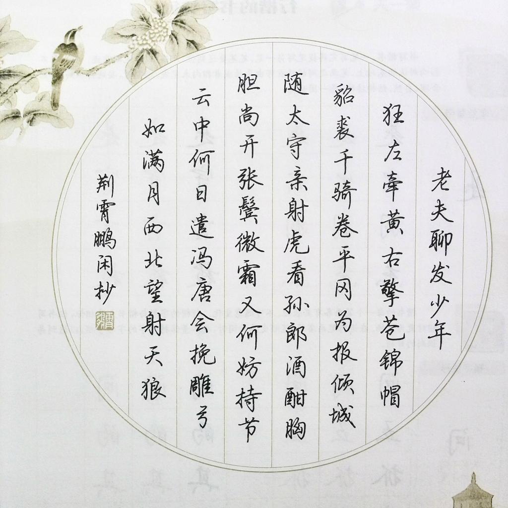 练字帖成人行楷书荆霄鹏钢