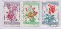 Letter and Sale Belgian Stamp 1960-Ghent Flower Exhibition Indian Rhododendron Begonia pineapple 3 full