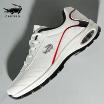 Cardile crocodile mens shoes spring and autumn air cushion shock absorption summer mesh sports shoes travel white shoes mens casual shoes
