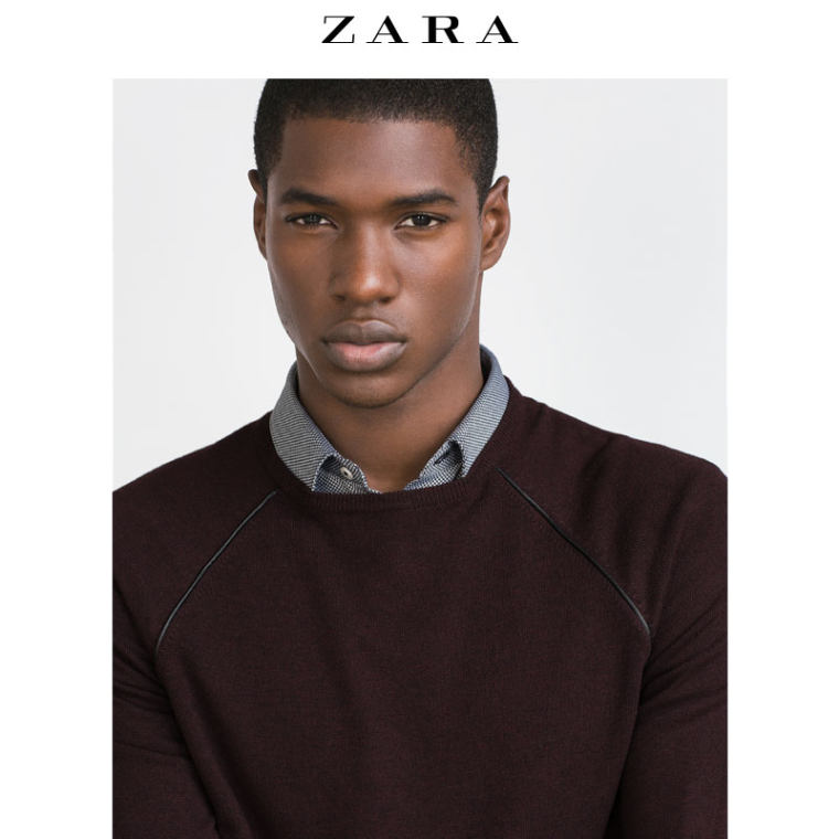 ZARA 男装 粘纤针织衫 05755303605