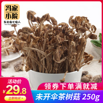 New goods farmers self-produced unopened umbrella tea tree mushroom Gutian dry tea tree mushroom 250g