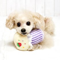 Japanese pet pooch toy Emma gentle healing ultra-cotton soft and nice strawberry cake 1