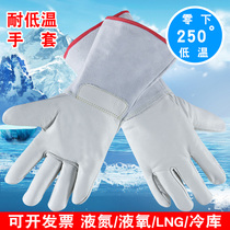 Low temperature resistant antifreeze gloves cold storage dry ice LNG petrochemical processing station liquid nitrogen labor protection cold protection protection gloves