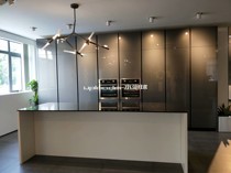 Austrian imported Senosen SENOSON acrylic veneer high light skin sense door panel Shanno wins LG PET