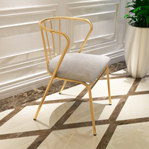 Nordic Net Red Backrest Casual Chair Subbalcony Table And Chairs Home Economy Type Café Dining Chair Iron Art Golden Stools