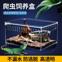 Acrylic reptile Spider Lizard Lizard Corner Frog Snake Scorpion Patron Turtle rearing Box Transparent Climbing Spotting Box rearing box