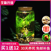 High Footed Cup Eco Bottle Fish Free of Water Tank Microscape Science Use of Diy Job Desk View Fish Tank