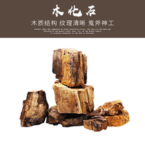 Natural Wood fossil original stone fish tank landscaping stone grass tank rockery rock aquarium decorative landscape Stone