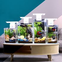 Ecological betta fish tank glass ultra-white small creative office desktop fish tank ecological bottle fish free water change micro-landscape