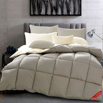 Childrens duvet winter quilt Mens Four Seasons sofa comfortable Autumn simple bedroom autumn cover winter