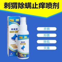 Mini hedgehog mite spray anti-itching hamster squirrel skin disease off Thorn 100ml Chinese medicine mite fungus