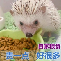 Hedgehog grain staple food non-fan feed Food small thorn cute pet staple food 500g large package nutrition deodorant food