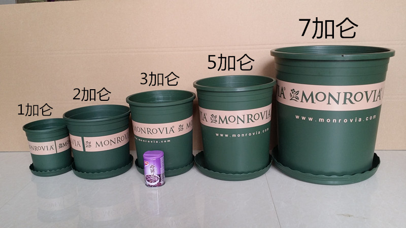 环球 颜色分类:1加仑【含托盘】,2加仑【含托盘】,3加仑【含托盘】,5