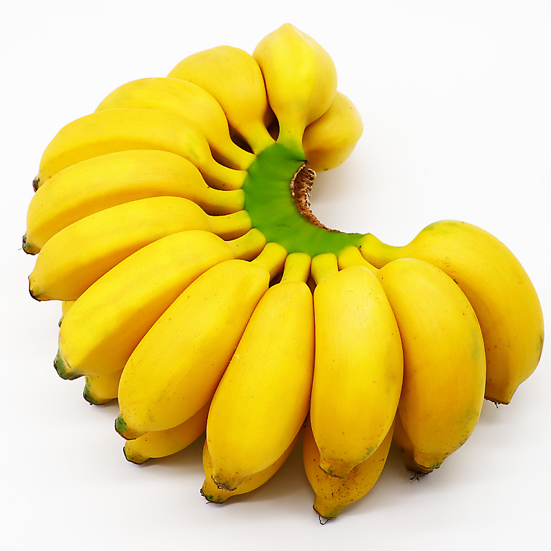 guangxi millet banana seasonal fruit fresh 10 catties naturally ripe banana fcl apple banana banana paage ten