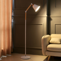Floor lamp LED eye protection fishing lamp modern simple Nordic ins living room bedroom study reading vertical table lamp