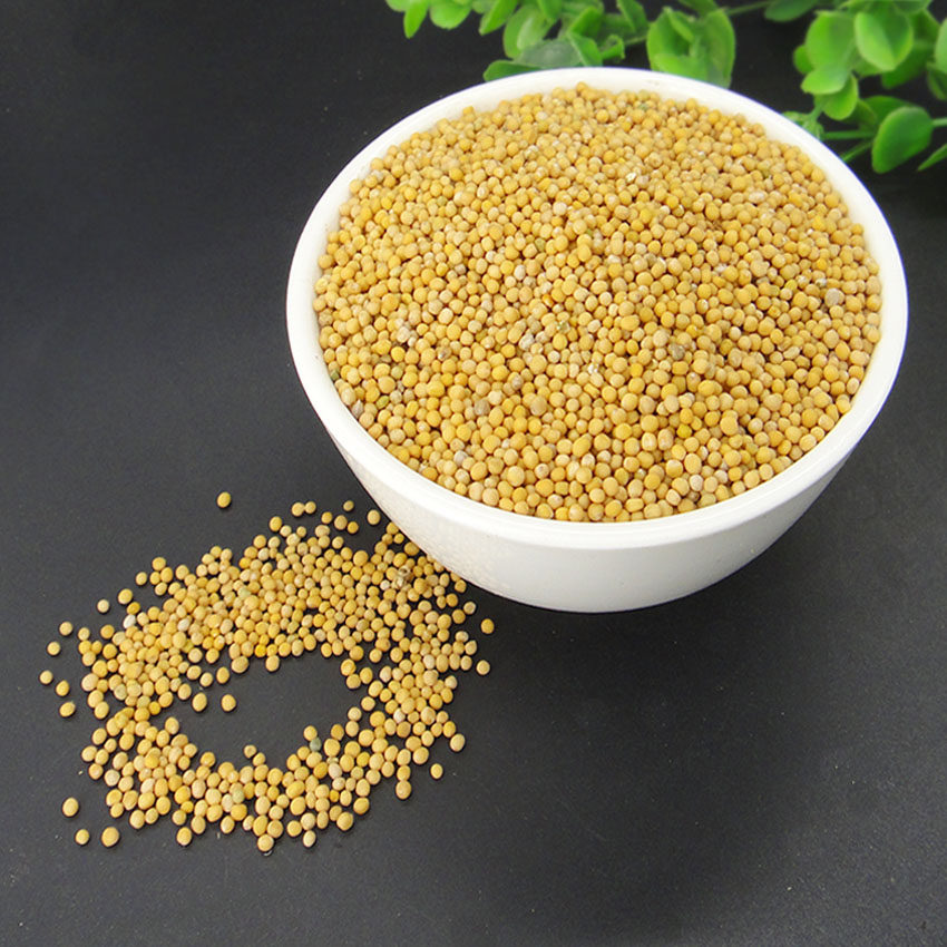 全场满46元免邮【迎辉堂】白芥子 白介籽 辣菜子 500g