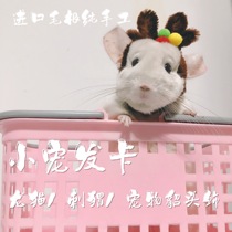 Totoro headdress photo accessories ChinChin hedgehog ornaments pet chincho hair hoop accessories handmade variety