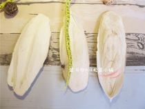 Small pet supplies special cuttlefish bone squirrel hamster ChinChin rabbit Dutch pig natural calcium supplement molars