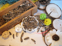 (Rat and you) Raw melon seeds Demon King Snow Golden Flower Huangshan and other squirrels staple food parrot snacks sunflower melon seeds