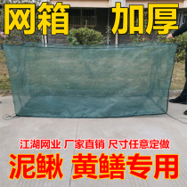 Set to be raised yellow eel cage eel fish loach breeding net special 40 mesh thickened fishing net plastic small with lid cage