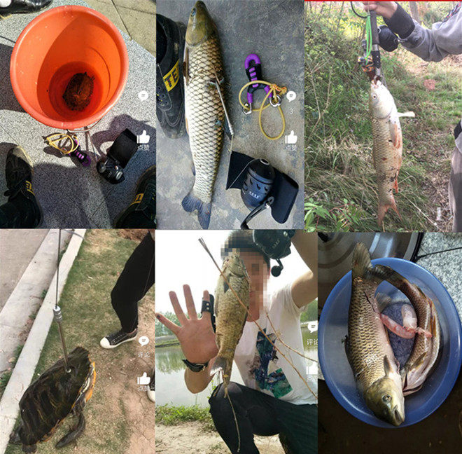 鱼镖射鱼套装射鱼器射鱼镖套装飞鲨镖鱼箭子弹镖渔镖轮弹弓打鱼标