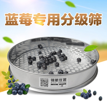 Blueberry Sieve Stainless Iron Round Hole Screen Standard Molecular Sifting Blueberry Screening Size Grading Diameter 30 cm Tuilsieve