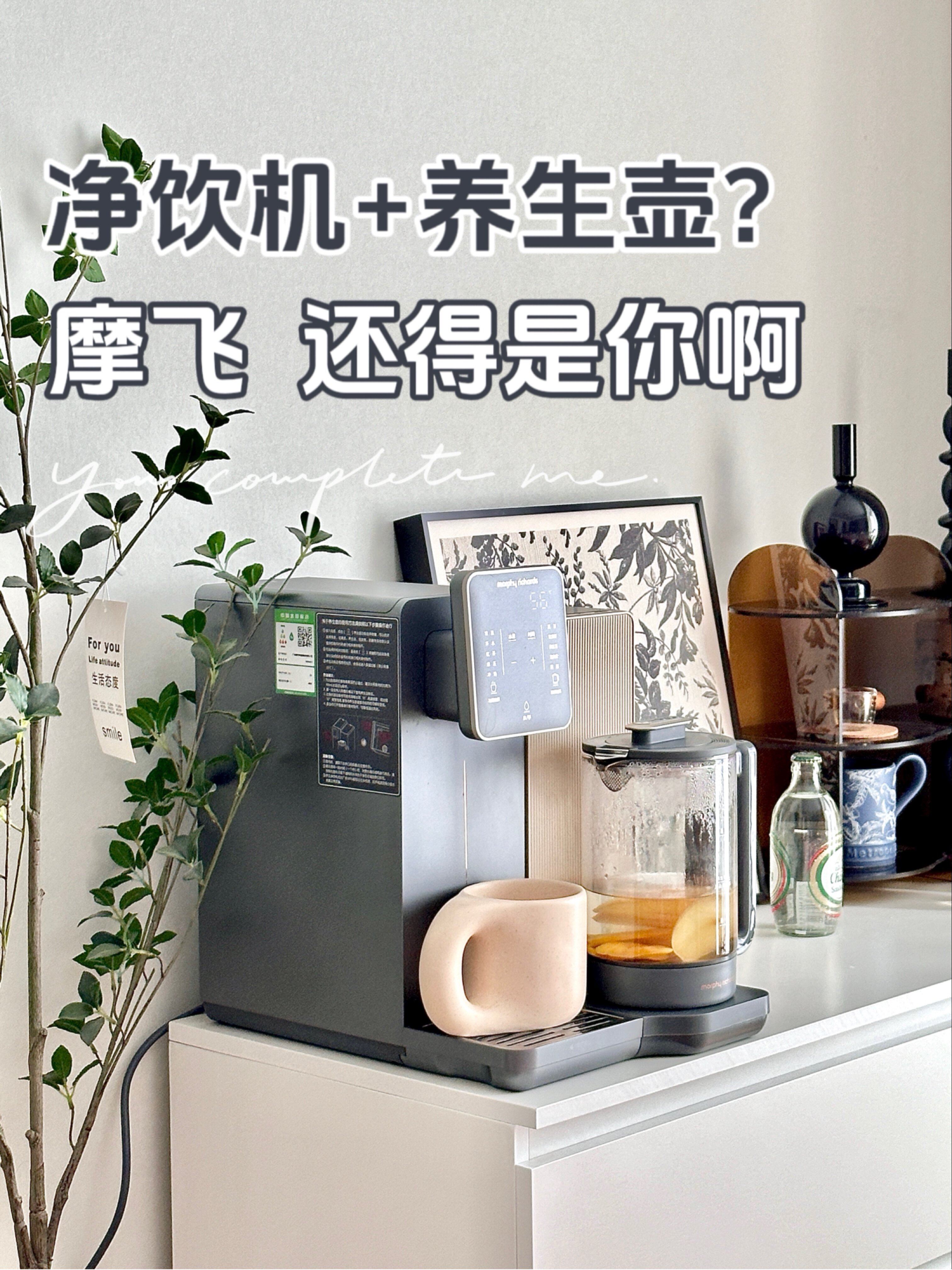 放不下净水器?摩飞养生净饮机来拯救你