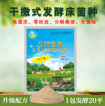 Dry-sprinkling fermentation bed bacteria breed chicken special duck quail rutin snake isotopic ectopic pig cattle biological em bacteria