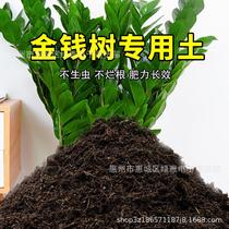 Peat soil nutrient soil general humus soil nutrient soil black soil flower soil planting soil flower soil humus leaf soil