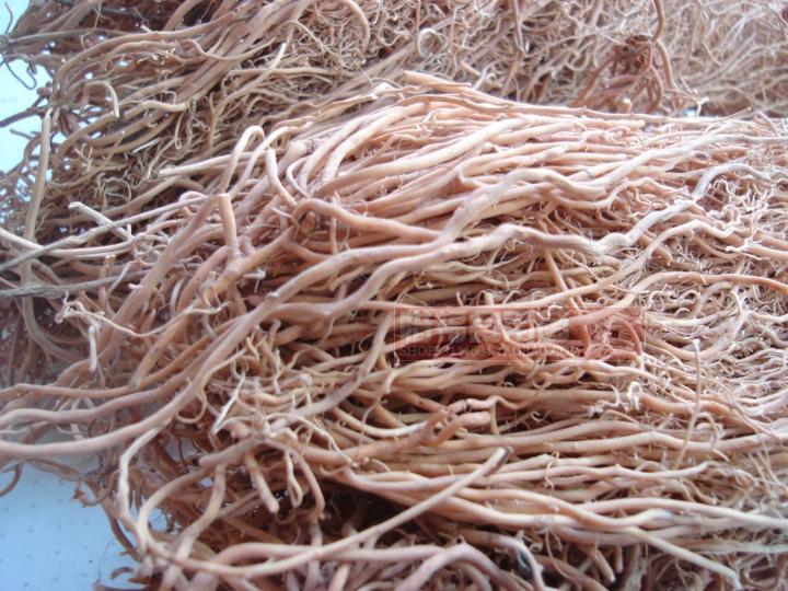 2份包邮中药材野生七层楼根娃儿藤老公须白龙须风shi腰痛500g