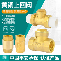 Horizontal ppr check valve hot melt double flexible copper check valve 4 minutes 6 minutes 1 inch 20 25 32 household water pipe fittings