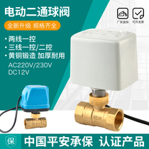 Electric two-way ball valve 220V two-wire normally closed normally open electric water valve switch DN15 20 25 50dc24v
