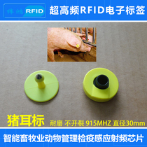 RFID pig ear tag ultra-high frequency electronic tag 915 animal tracking UHF electronic ear tag passive 6c radio frequency chip