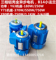 YS aluminum shell gold three-phase asynchronous motor 180W~1 1KW380V vertical B14 small flange national standard copper motor